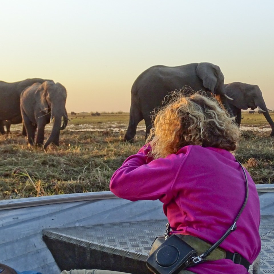 3-Länder Traumsafari